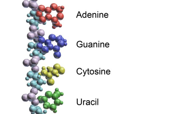 «Ενισχύεται» η θεωρία του RNA για την εμφάνιση της ζωής στη Γη