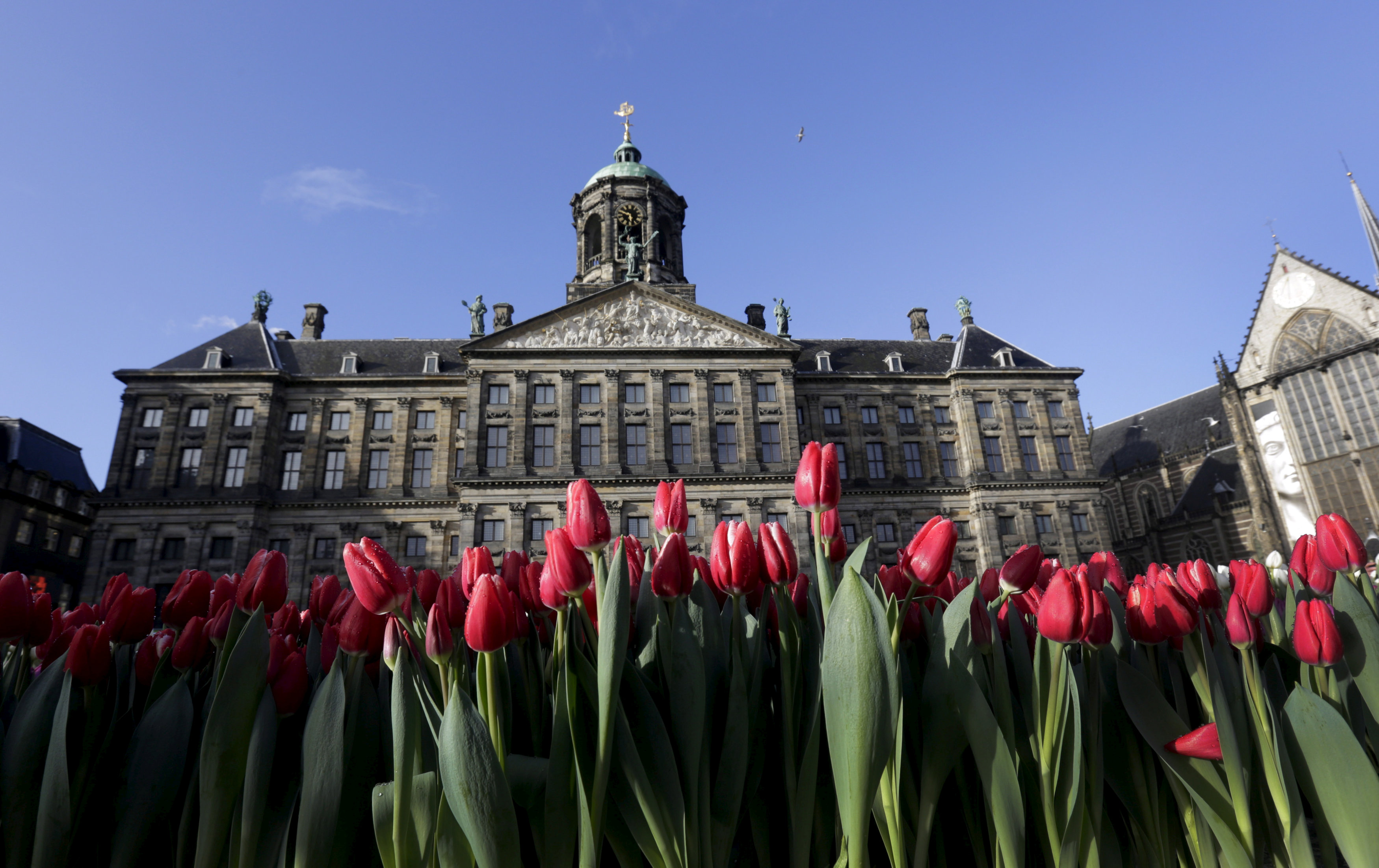 Αμστερνταμ: Η πρωτεύουσα των startups