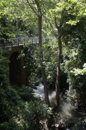 Ο Μάης του Οδοντωτού