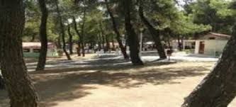 Εως 31 Μαΐου εγγραφές για τις παιδικές κατασκηνώσεις Αγ. Ανδρέα