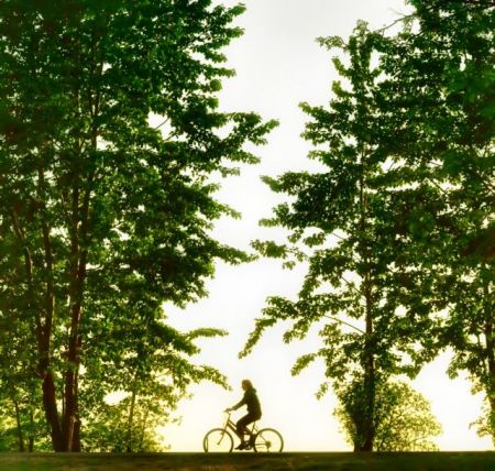 Στα άδυτα του ανοσοποιητικού