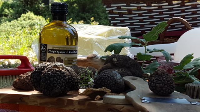 Συλλέγοντας τρούφες στα Μετέωρα