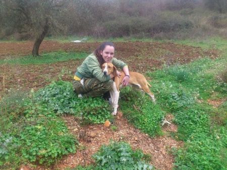 Με δύναμη από το… μαντρί