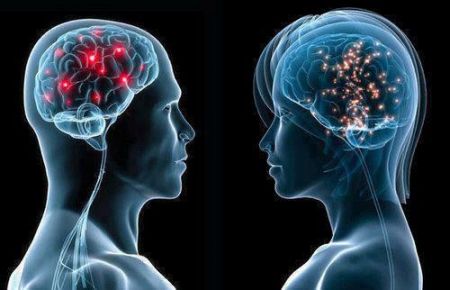 Διαφέρει ο εγκέφαλος ανδρών και γυναικών σε φάση συνεργασίας