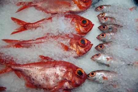 Φρέσκο ψάρι μέσω … Διαδικτύου