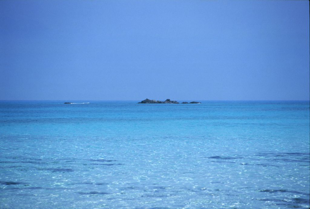 Το in.gr σας ταξιδεύει την Κυριακή στο Μύρτο Ιεράπετρας και το Λιβυκό πέλαγος!