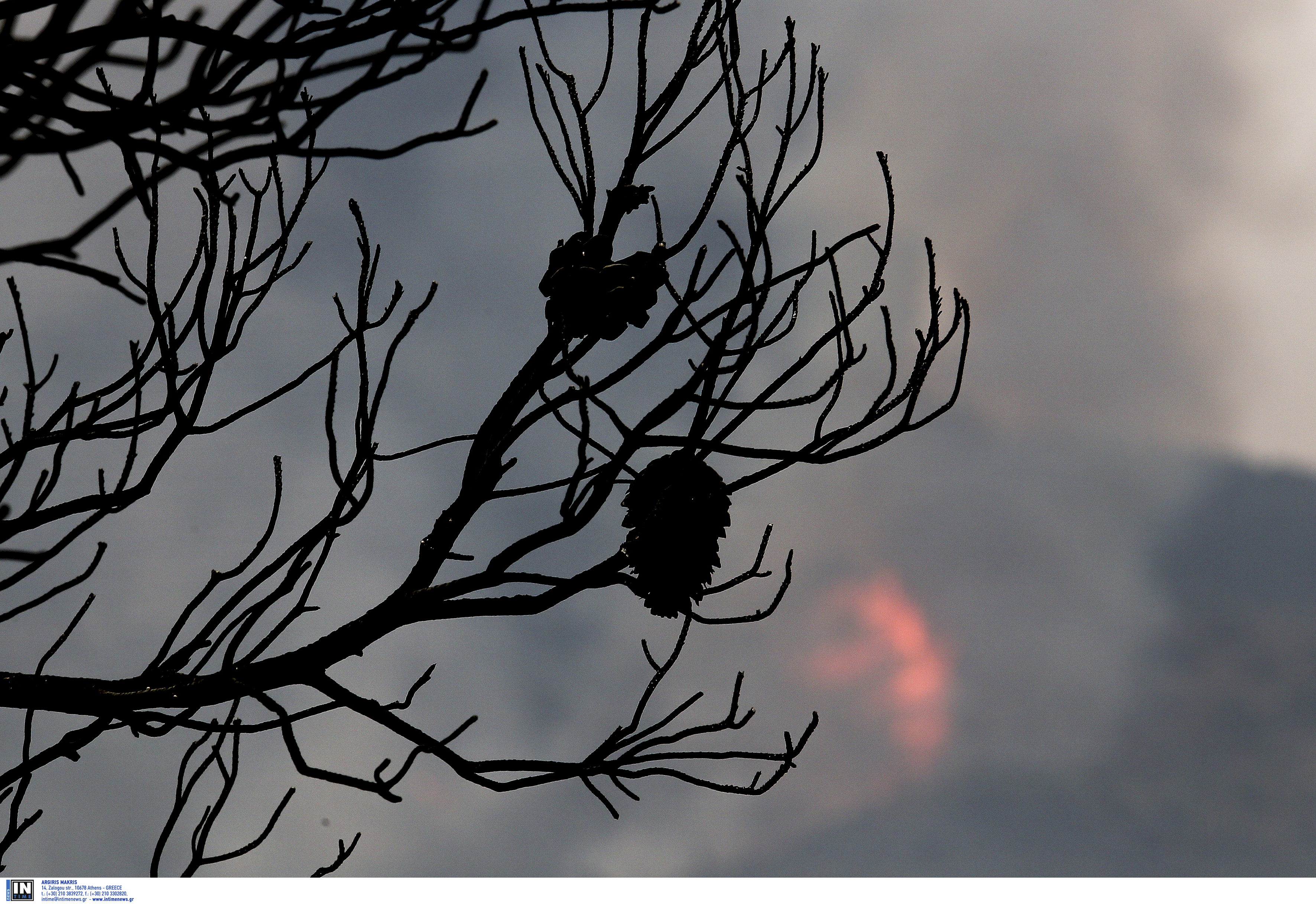 Μικρές διάσπαρτες εστίες φωτιάς έχουν απομείνει στα Δερβενοχώρια-Σε επιφυλακή η Πυροσβεστική