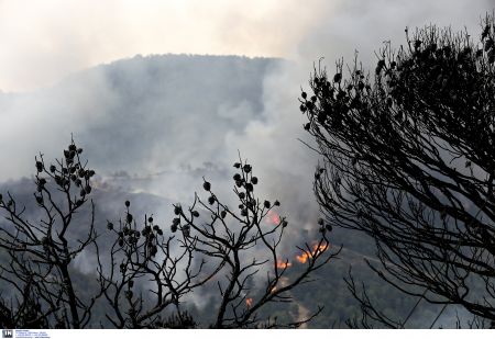 Πέντε πύρινα μέτωπα στην Κρήτη – Φωτιά και στην Τανάγρα