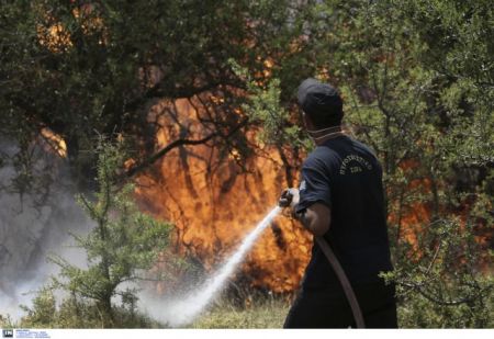 Υπό μερικό έλεγχο η πυρκαγιά στον Ελαιώνα στη Θήβα