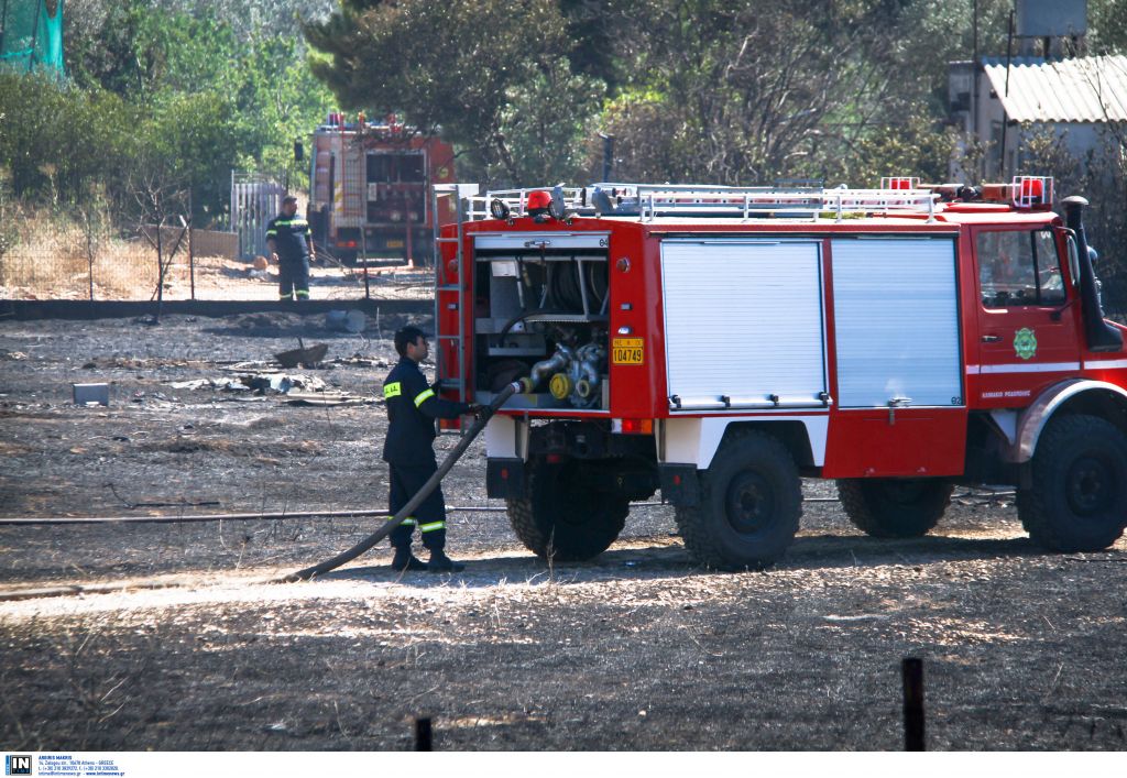 Υπό μερικό έλεγχο οι πυρκαγιές στον Όλυμπο και στη Μόρφα Αυλίδας
