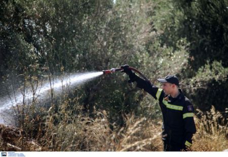 Υπό έλεγχο οι φωτιές σε Ουρανούπολη, Πολύγυρο και Αχαΐα