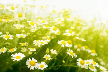 Διώξτε την «ομίχλη» από το μυαλό