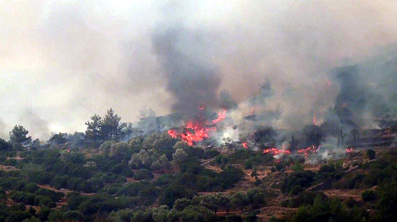 Αγροτοδασική πυρκαγιά στην περιοχή Προφήτης Ηλίας Πατρών