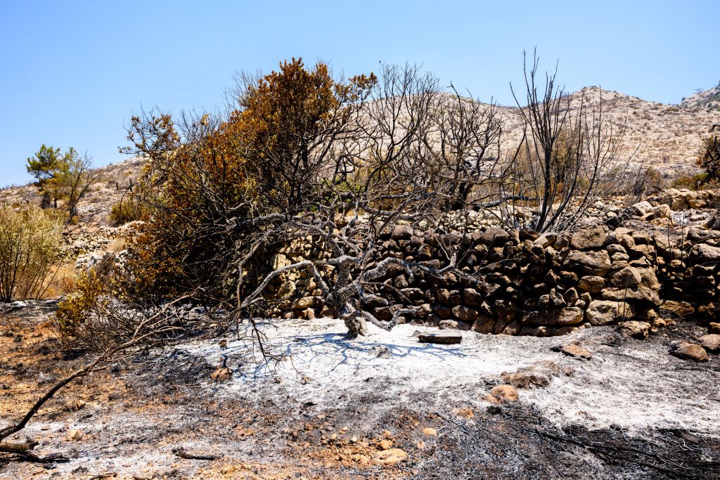 Προφυλακιστέος κρίθηκε 35χρονος που κατηγορείται ως υπαίτιος 26 πυρκαγιών