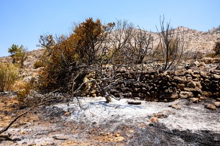 Προφυλακιστέος κρίθηκε 35χρονος που κατηγορείται ως υπαίτιος 26 πυρκαγιών