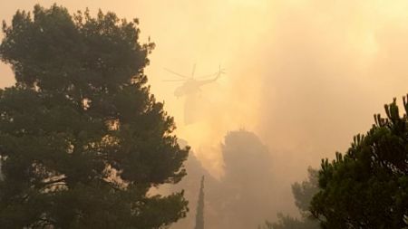 Evia: Wildfire burns through thousands of acres of pine trees