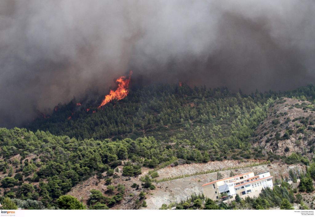 Εύβοια: Πυρκαγιά σε δασική έκταση κοντά στην Κάρυστο