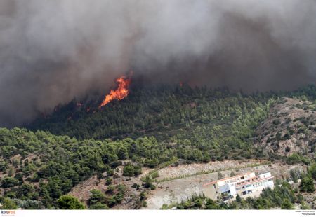 Εύβοια: Πυρκαγιά σε δασική έκταση κοντά στην Κάρυστο