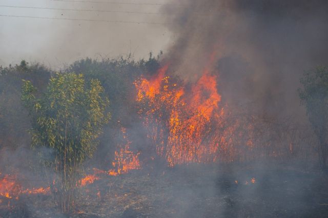 Πυρκαγιά στην Κατούνα Αιτωλοακαρνανίας | tovima.gr