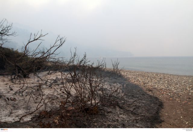Υπό έλεγχο η φωτιά στη Λίμνη Ευβοίας, ανησυχία για το δεύτερο μέτωπο