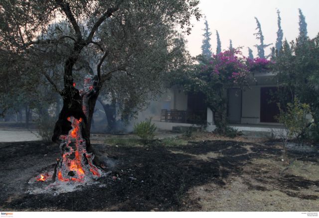 Μαίνεται η φωτιά στη βόρεια Εύβοια, πυρκαγιά και στην Κόνιτσα | tovima.gr