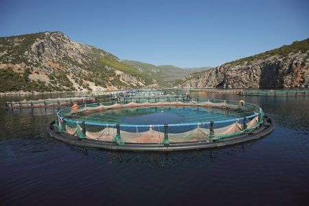 Η νέα δύναμη στη μεσογειακή ιχθυοκαλλιέργεια