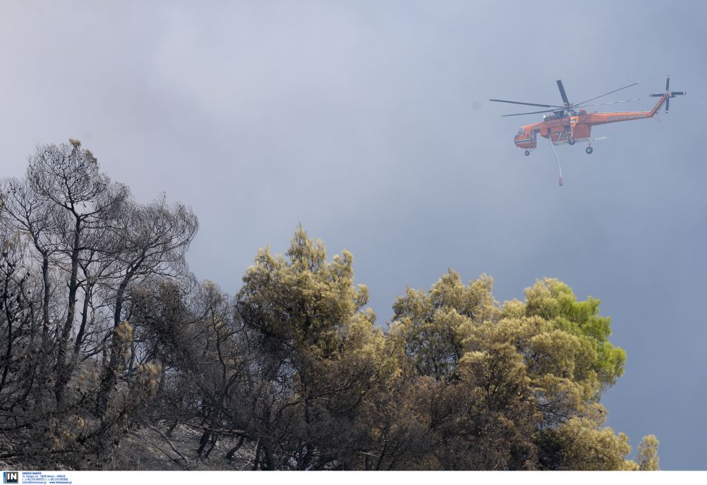 Πυρκαγιά σε δασική έκταση στο Πικέρμι Αττικής