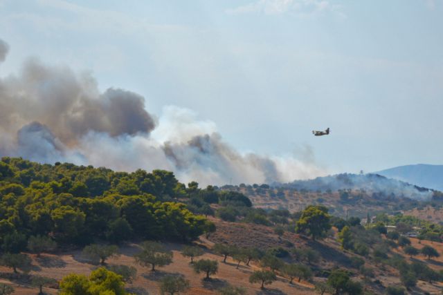 Evia in flames: Fires break out in Kymi and Karystos