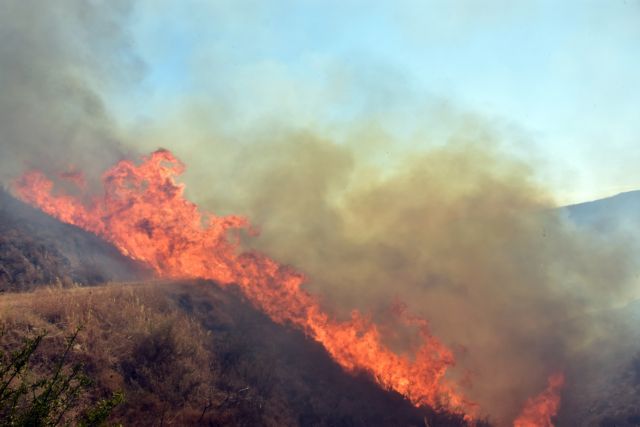 Στις φλόγες δασική έκταση στην Ευρυτανία | tovima.gr