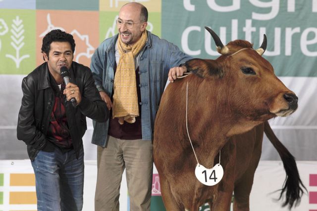 Οι ταινίες της εβδομάδας: Αγελάδες, γαϊδούρια και έρωτες μετά δυσκολιών