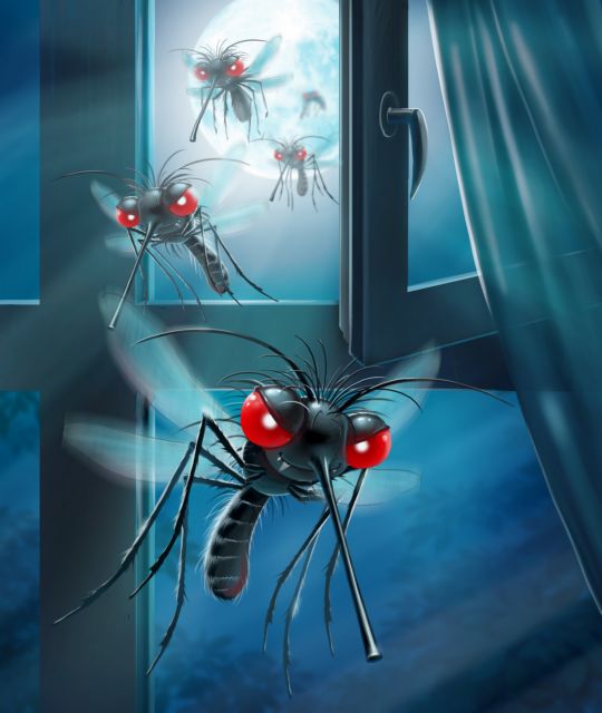 Κουνούπια: Πώς θα τα πολεμήσετε | tovima.gr
