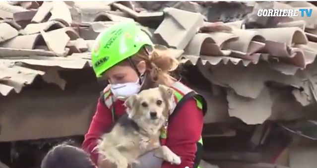 Οι σκύλοι που σώθηκαν και εκείνοι που σώζουν ζωές στα συντρίμμια της Ιταλίας | tovima.gr