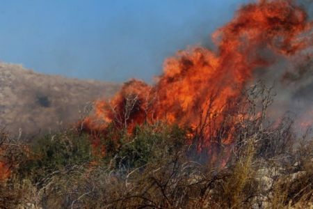 Σε εξέλιξη πυρκαγιά στη Νεμέα