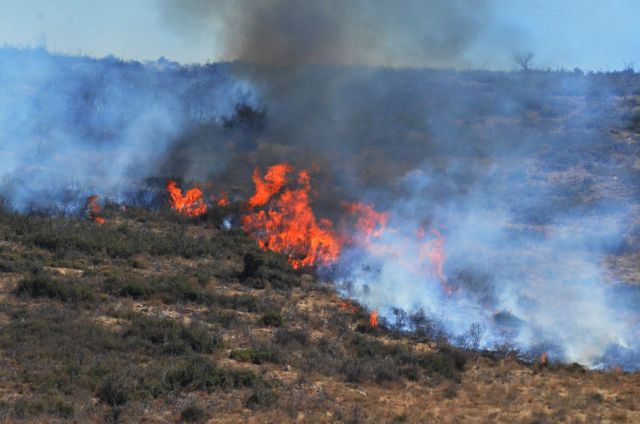 Zakynthos: Forest fire breaks out overnight in mountainous area