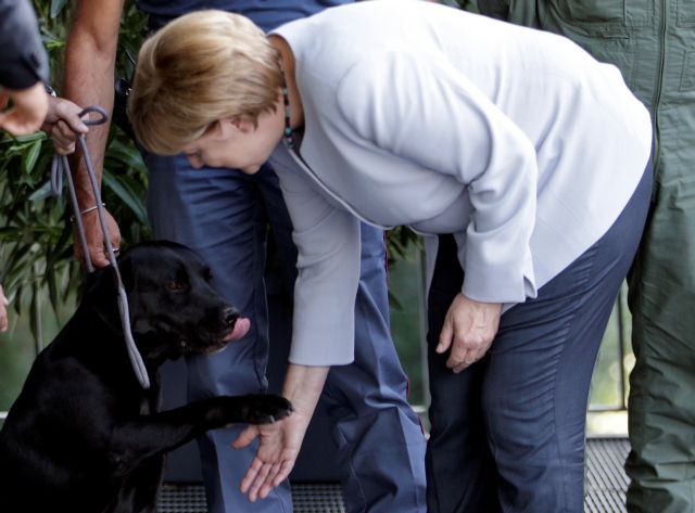 Ο Λέο και η καγκελάριος: Η Μέρκελ συναντά τον σκύλο-ήρωα της Ιταλίας | tovima.gr