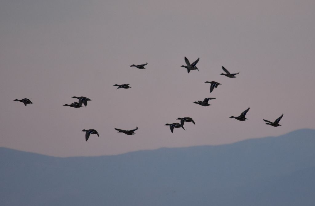 Προς υπογραφή της Συμφωνίας για το Κλίμα και η Συρία
