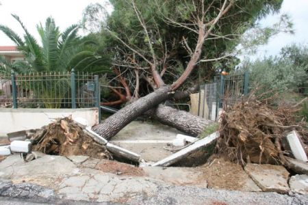 Συντρίμμια άφησε ο ανεμοστρόβιλος που χτύπησε την Ηλεία