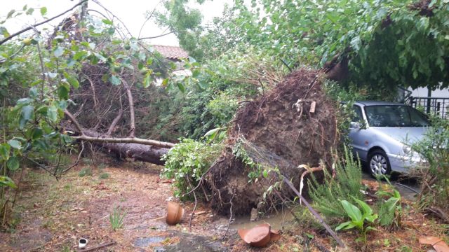 Το επταήμερο του Διόδωρου