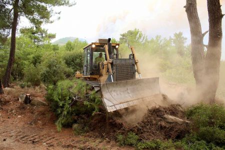 ΟΑΕΔ: Ξεκινούν οι αιτήσεις για 5.066 θέσεις στην αντιπυρική προστασία