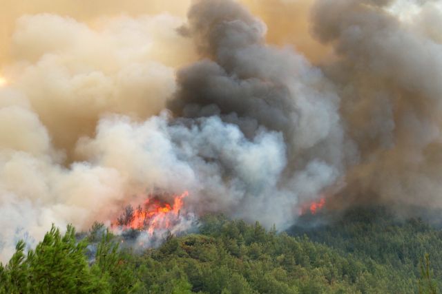 Υπό μερικό έλεγχο η φωτιά στα Φαλάσαρνα Κισάμου | tovima.gr