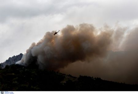 Σύλληψη 42χρονου για τις πυρκαγιές στην Οινόη