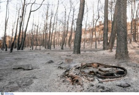 Ξεκίνησε η καταγραφή ζημιών στη Θάσο μετά τη μεγάλη φωτιά