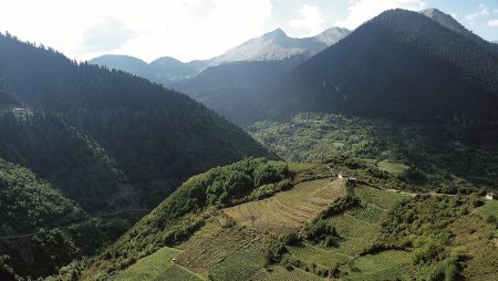 Οράματα και θαύματα στο Μέτσοβο