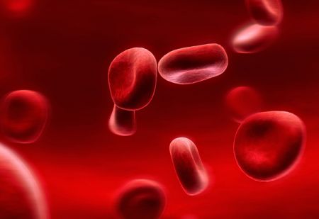 Τελευταίες εξελίξεις στη θεραπεία των αιματολογικών κακοηθειών