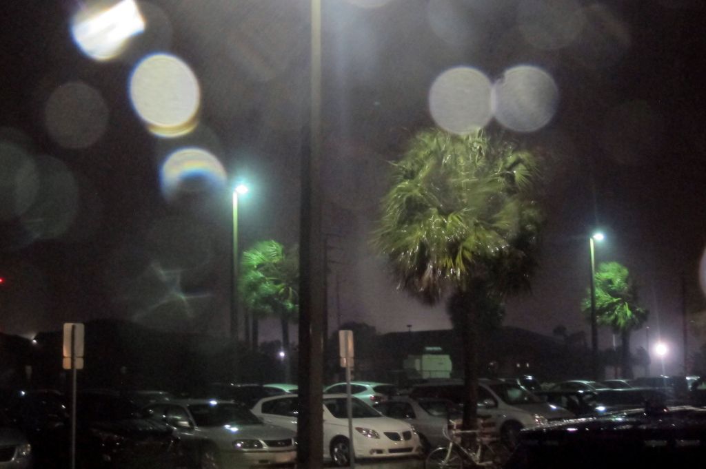 Κυκλώνας Μάθιου: Παρέλυσε η Φλόριντα στις ΗΠΑ