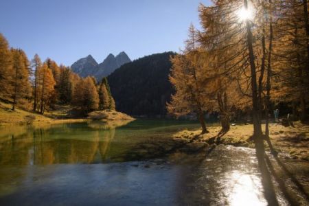 Πώς τα φυλλοβόλα δέντρα γίνονται κίτρινα το φθινόπωρο