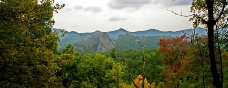 Κούρεμα χρέους και έμφαση στην πράσινη οικονομία προτείνει η WWF Ελλάς