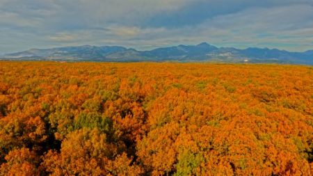 Έχετε αντίρρηση επί των δασικών χαρτών; Πληρώστε!