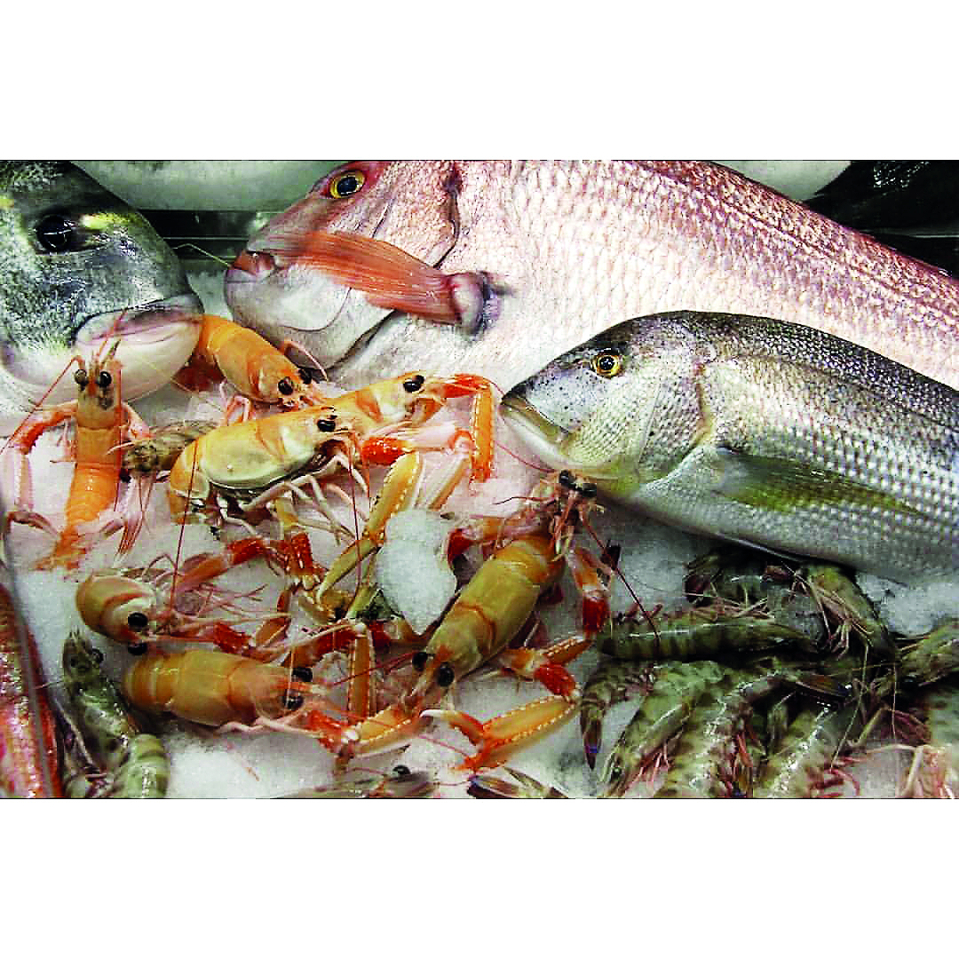 Εδώ Θεσσαλονίκη: Παλίρροια γεύσεων