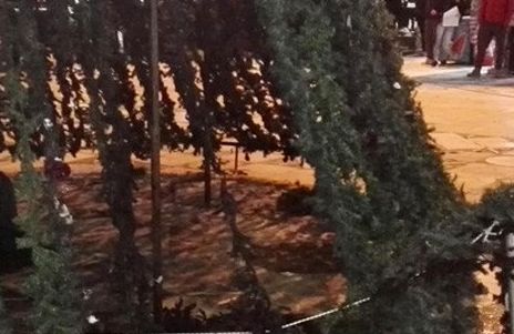 Αναρχικοί στα Χανιά προσπάθησαν να κάψουν το χριστουγεννιάτικο δέντρο